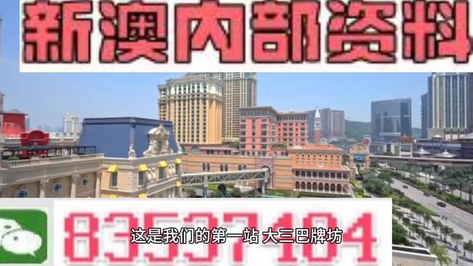 2024新澳精准正版资料109-精选解释解析落实