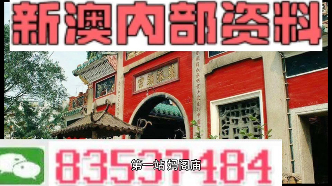 新澳2025今晚王中王免费资料,新澳2025今晚王中王免费资料解析与探讨