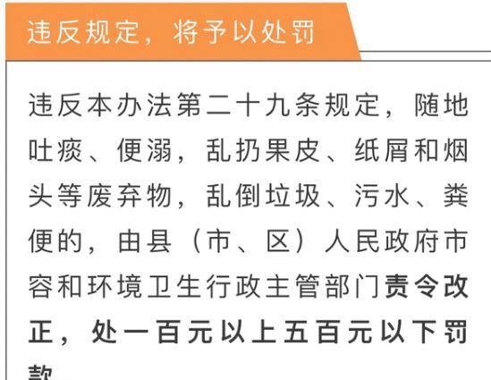 最精准的三肖三码资料,揭秘最精准的三肖三码资料，探寻背后的秘密与真相