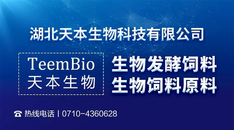 2025新澳免费资料三头67期,探索2025新澳免费资料三头67期，深度分析与预测