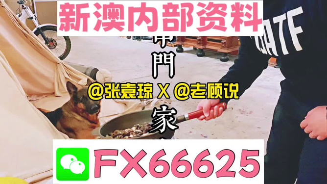 澳门管家婆100,澳门管家婆100，探索其背后的故事与意义