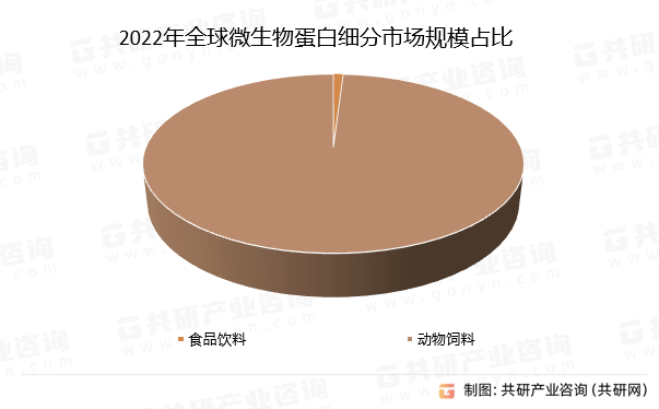 王中王资料大全枓大全,王中王资料大全，深度解析与全面概览